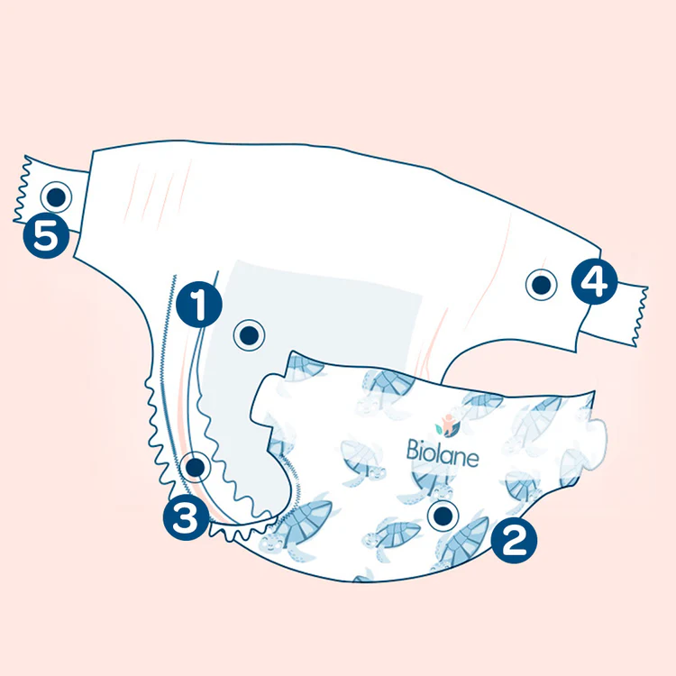 Diagram plienky